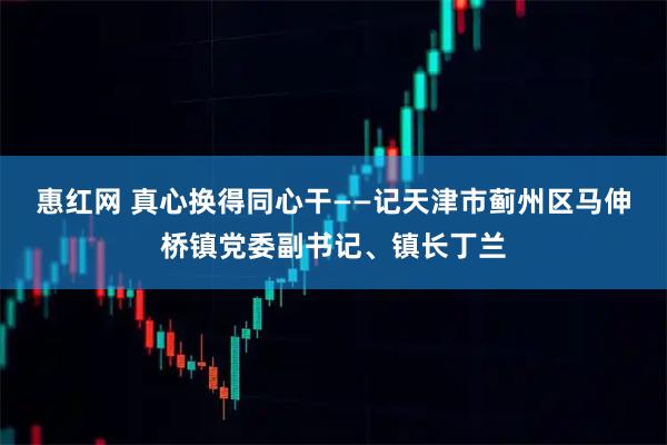 惠红网 真心换得同心干——记天津市蓟州区马伸桥镇党委副书记、镇长丁兰