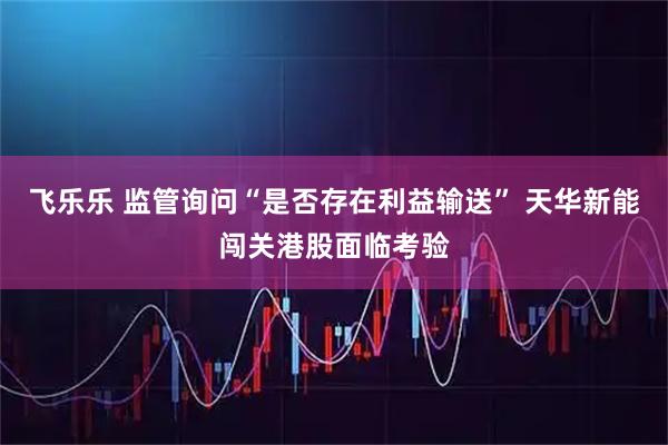 飞乐乐 监管询问“是否存在利益输送” 天华新能闯关港股面临考验